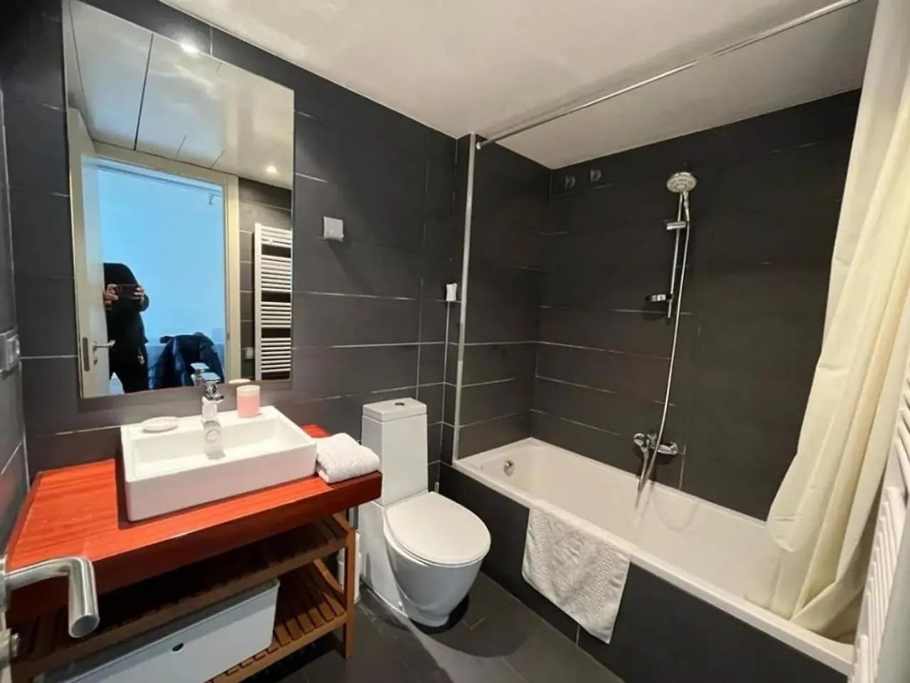 Apartment For Rent In Calle Del Doctor Aiguader Barcelona